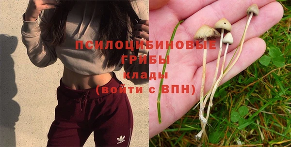 MDMA Premium VHQ Алзамай